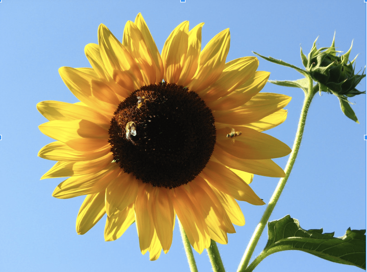 Like a Boat in a Storm