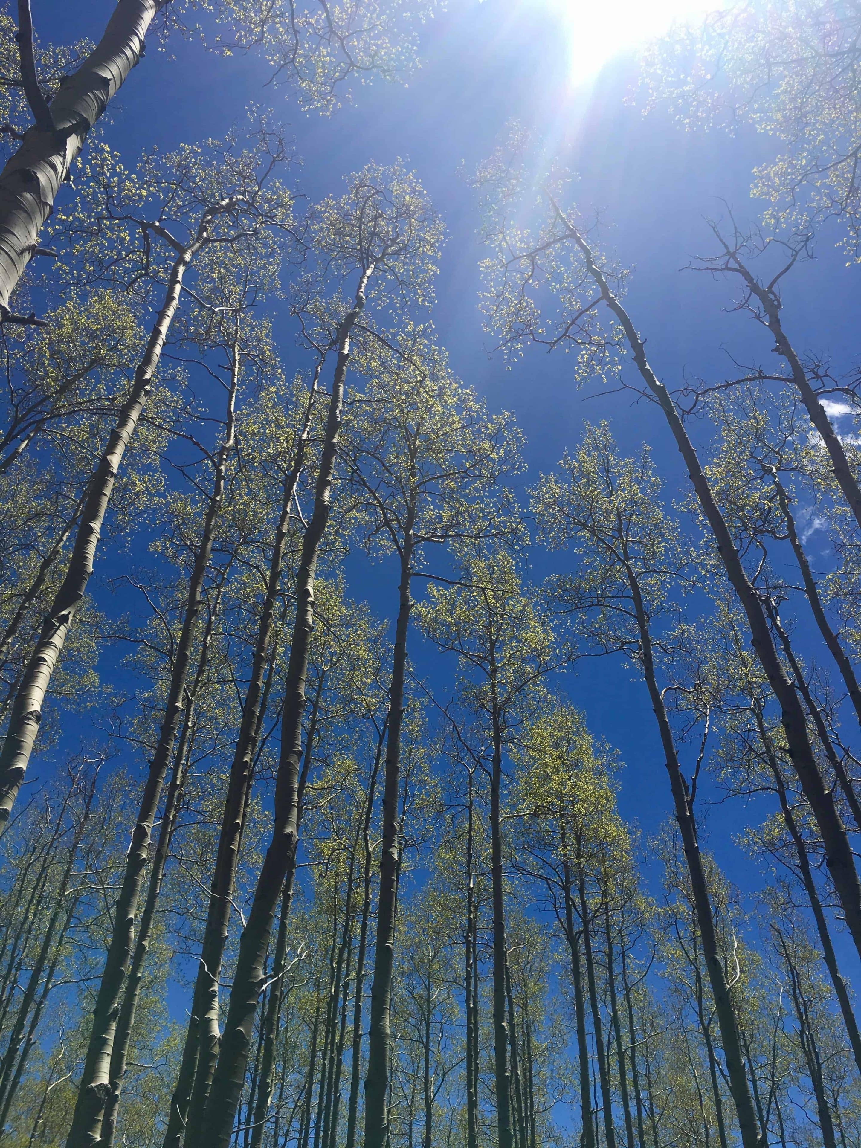 Five Reasons Why Kids Need Time Outside.