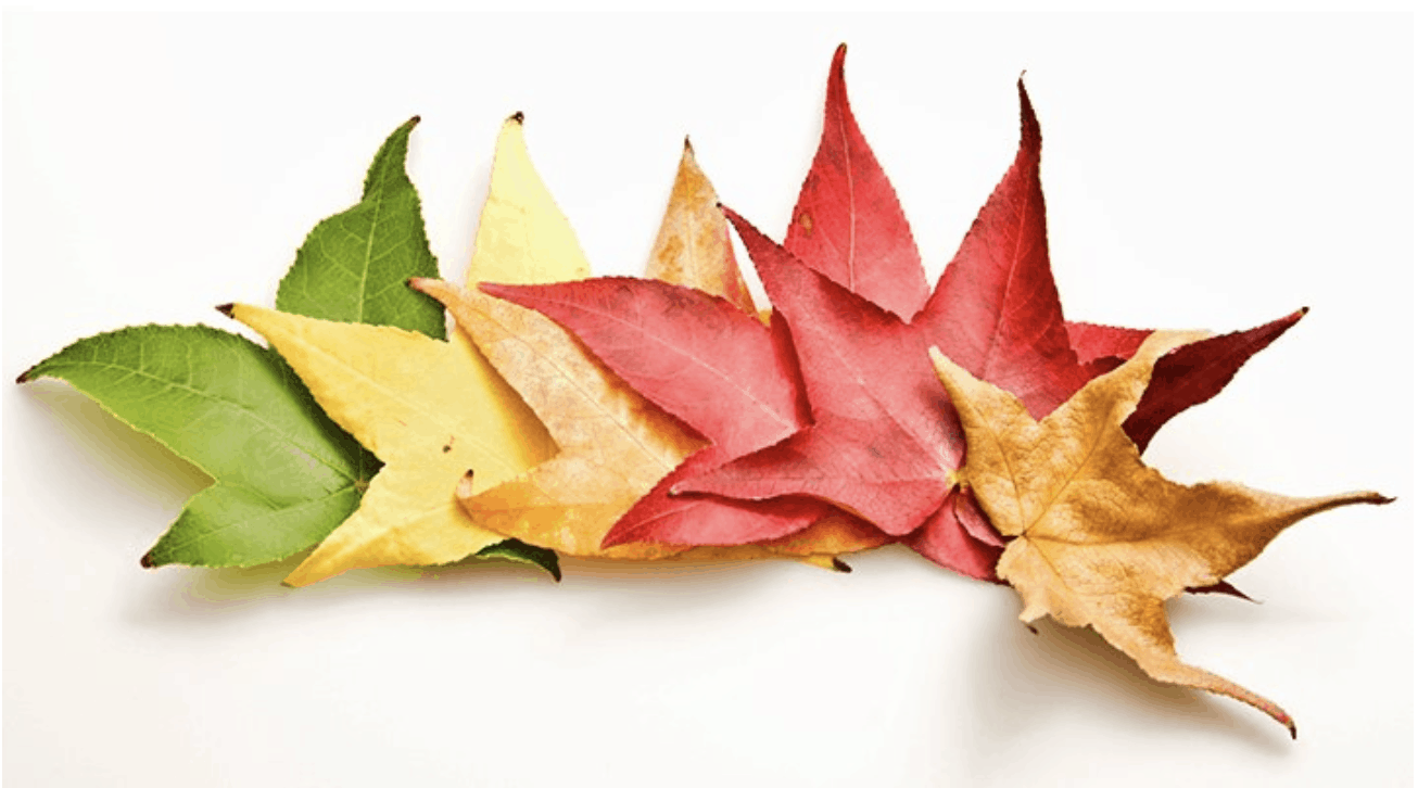 6 Tips To Help Your Child With Change